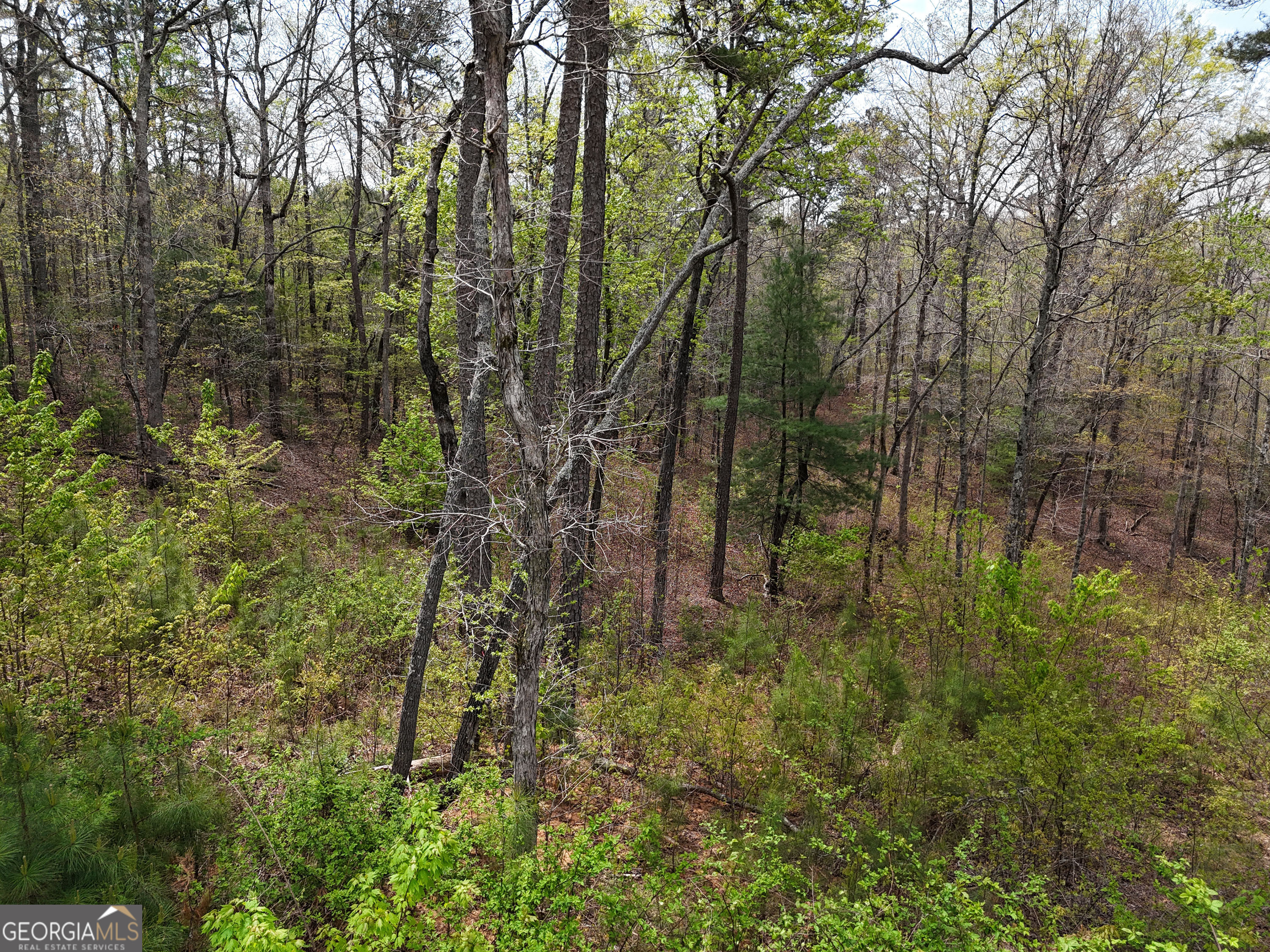 LT 129 Red Hawk LN