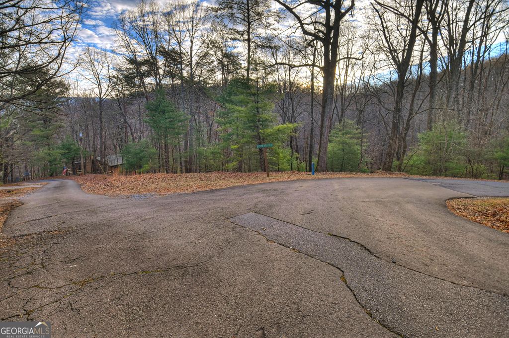 Photo of 57 Walnut Mountain Court, Ellijay, GA 30536 (MLS # 10696076)