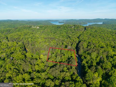 Photo of 42 Harris Creek Drive, Ellijay, GA 30540 (MLS # 10759589)
