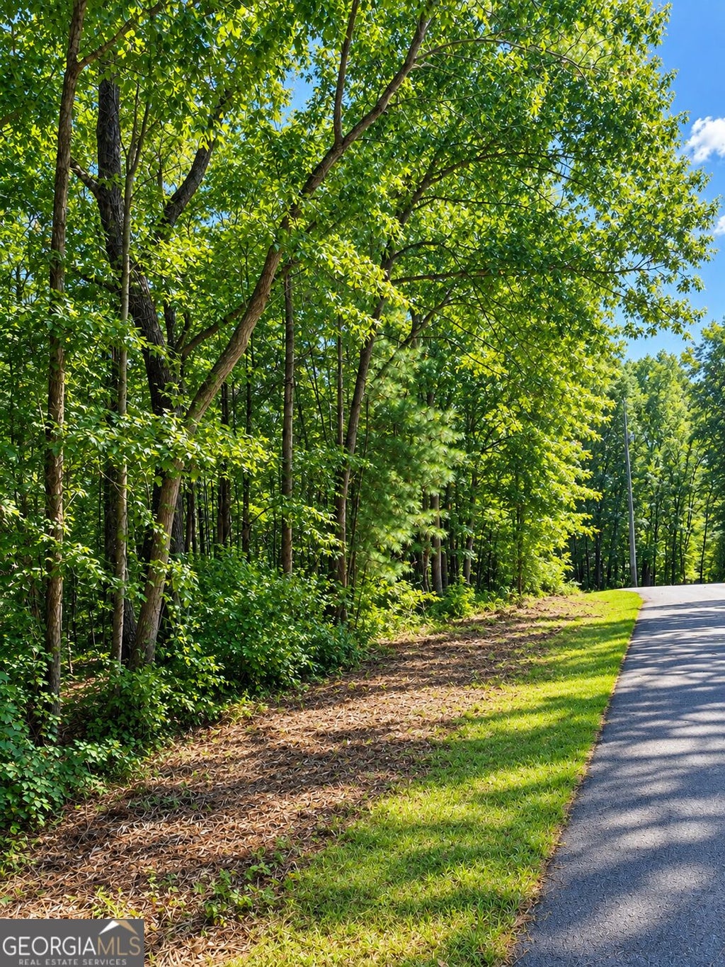 Photo of 24 Oak Ct, Toccoa, GA 30577 (MLS # 10845868)