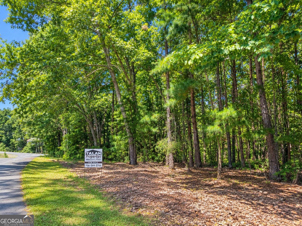 Photo of 24 Oak Ct, Toccoa, GA 30577 (MLS # 10845868)