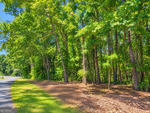Photo of 24 Oak Ct, Toccoa, GA 30577 (MLS # 10845868)
