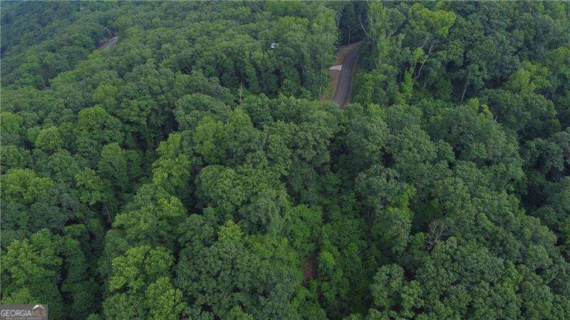 Photo of 288 Andes Ridge Parkway, Ellijay, GA 30175 (MLS # 10810799)