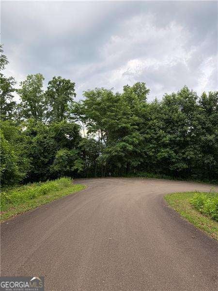 Photo of 288 Andes Ridge Parkway, Ellijay, GA 30175 (MLS # 10810799)