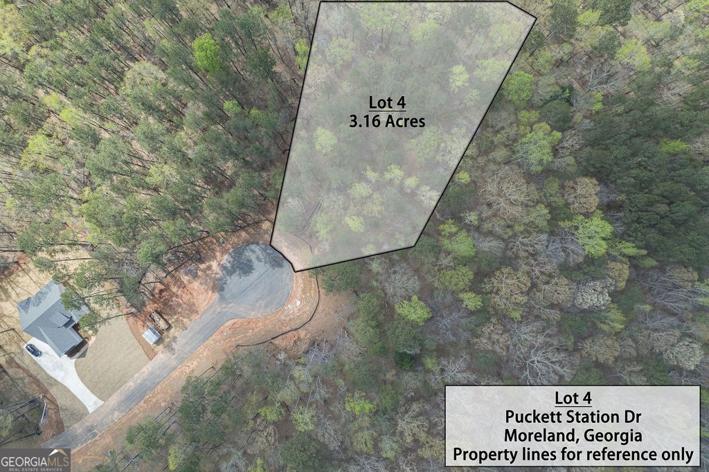 Photo of 4 Puckett Station No Street Suffi, Moreland, GA 30259 (MLS # 10685376)