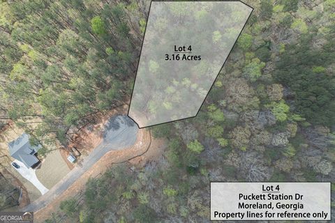 LOT 4 Puckett Station NONE Moreland GA 30259
