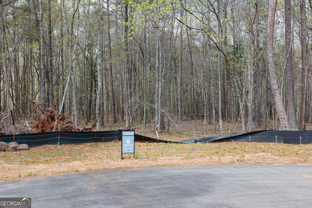 LOT 4 Puckett Station NONE