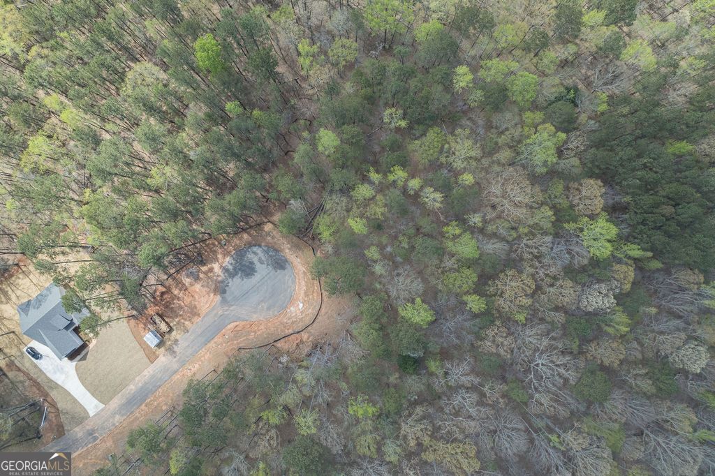 Photo of 4 Puckett Station No Street Suffi, Moreland, GA 30259 (MLS # 10685376)