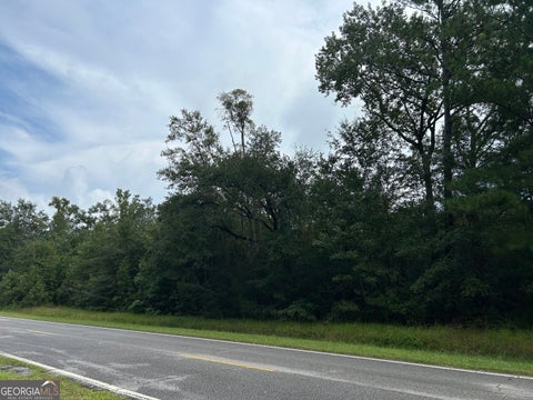 Photo of 0 Barrington Ferry Road, Riceboro, GA 31323 (MLS # 10850329)