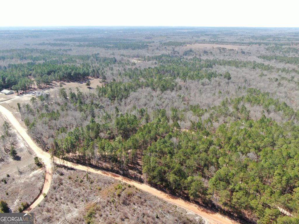 Photo of 0 Suddeth Road, Butler, GA 31006 (MLS # 10700877)