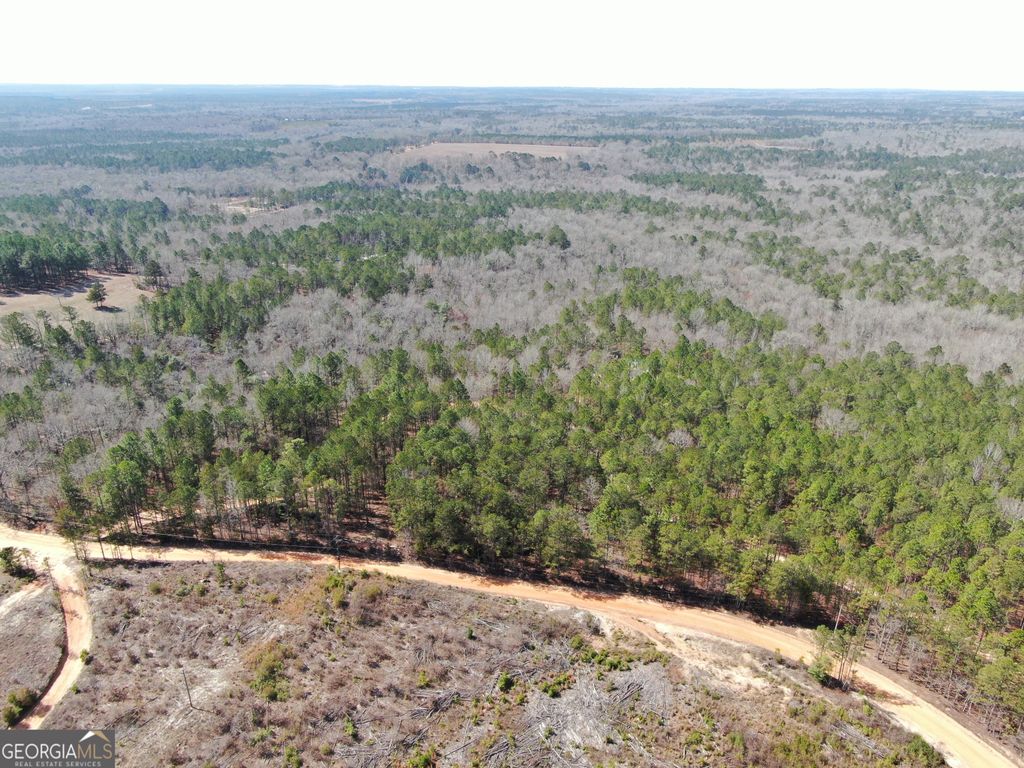 Photo of 0 Suddeth Road, Butler, GA 31006 (MLS # 10700877)