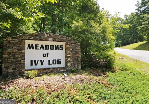 Photo of 40 Ivy Meadow Lane, Blairsville, GA 30512 (MLS # 10731946)