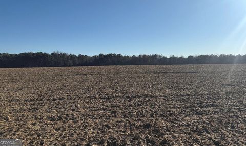 Photo of 0 Whitfield Road, Elko, GA 31025 (MLS # 10679045)