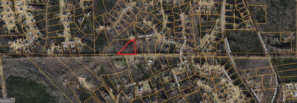 Photo of 437 Misty Brook Court, Hampton, GA 30228 (MLS # 10707476)