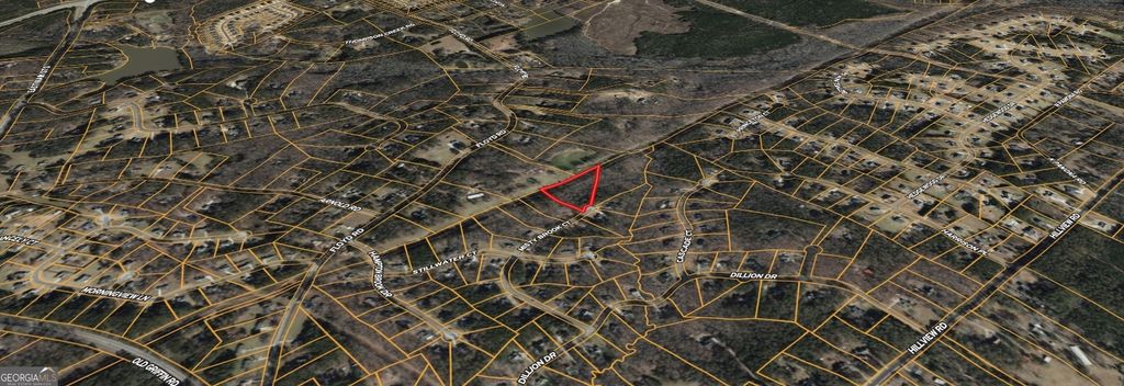 Photo of 437 Misty Brook Court, Hampton, GA 30228 (MLS # 10707476)