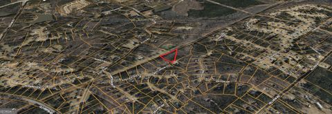 Photo of 437 Misty Brook Court, Hampton, GA 30228 (MLS # 10707476)