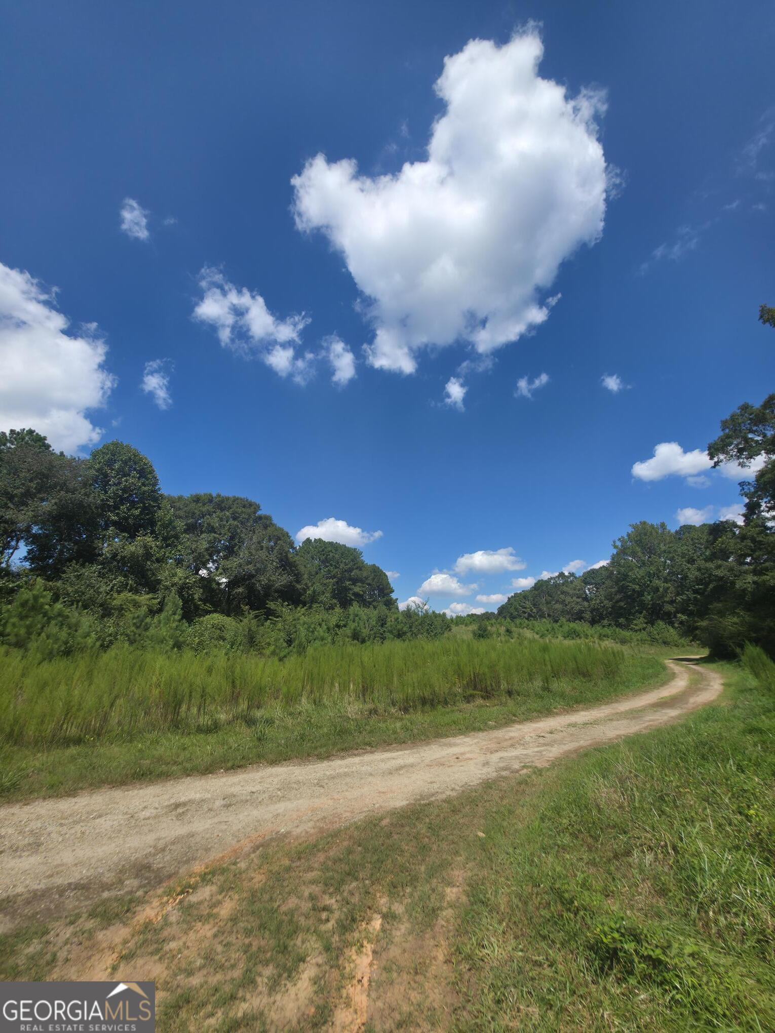 8.585 ACRES IN BARROW CO! This estate lot is nestled in the new construction subdivision Charlottes Place. Experience the appeal of a neighborhood with the spaces of the country. The long driveway and creek that runs through is sure to bring the peaceful sounds of nature to your home! City sewer and water available! No improvements sure as clearing or grading have been done to the lot at this time, but it does have a construction driveway. Only 2 estate lots available for purchase to custom build, So don't miss out! Will have shared driveway, Seller to install 12' wide and about 100-150' long concrete driveway down that hill from the road prior to closing.