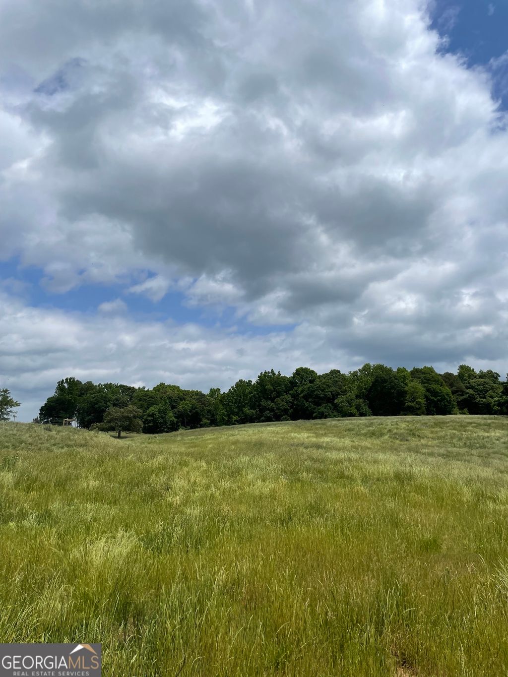 Photo of 0 Quail Run Rd, Royston, GA 30662 (MLS # 10753508)