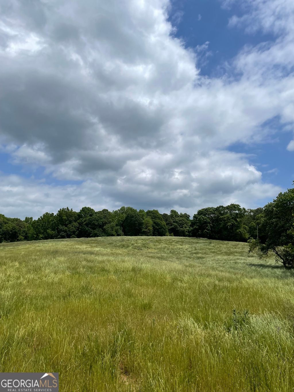 Photo of 0 Quail Run Rd, Royston, GA 30662 (MLS # 10753508)