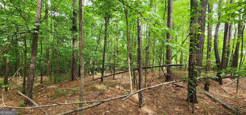 Photo of 0000 Rabbit Farm Road, Loganville, GA 30052 (MLS # 10832949)
