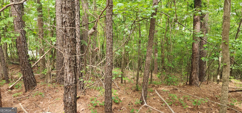 Photo of 0000 Rabbit Farm Road, Loganville, GA 30052 (MLS # 10832949)