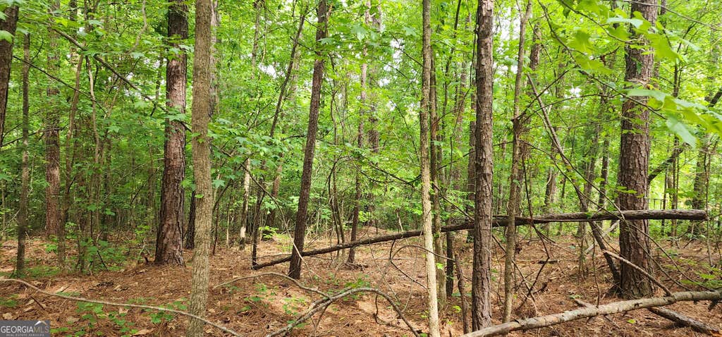 Photo of 0000 Rabbit Farm Road, Loganville, GA 30052 (MLS # 10832949)