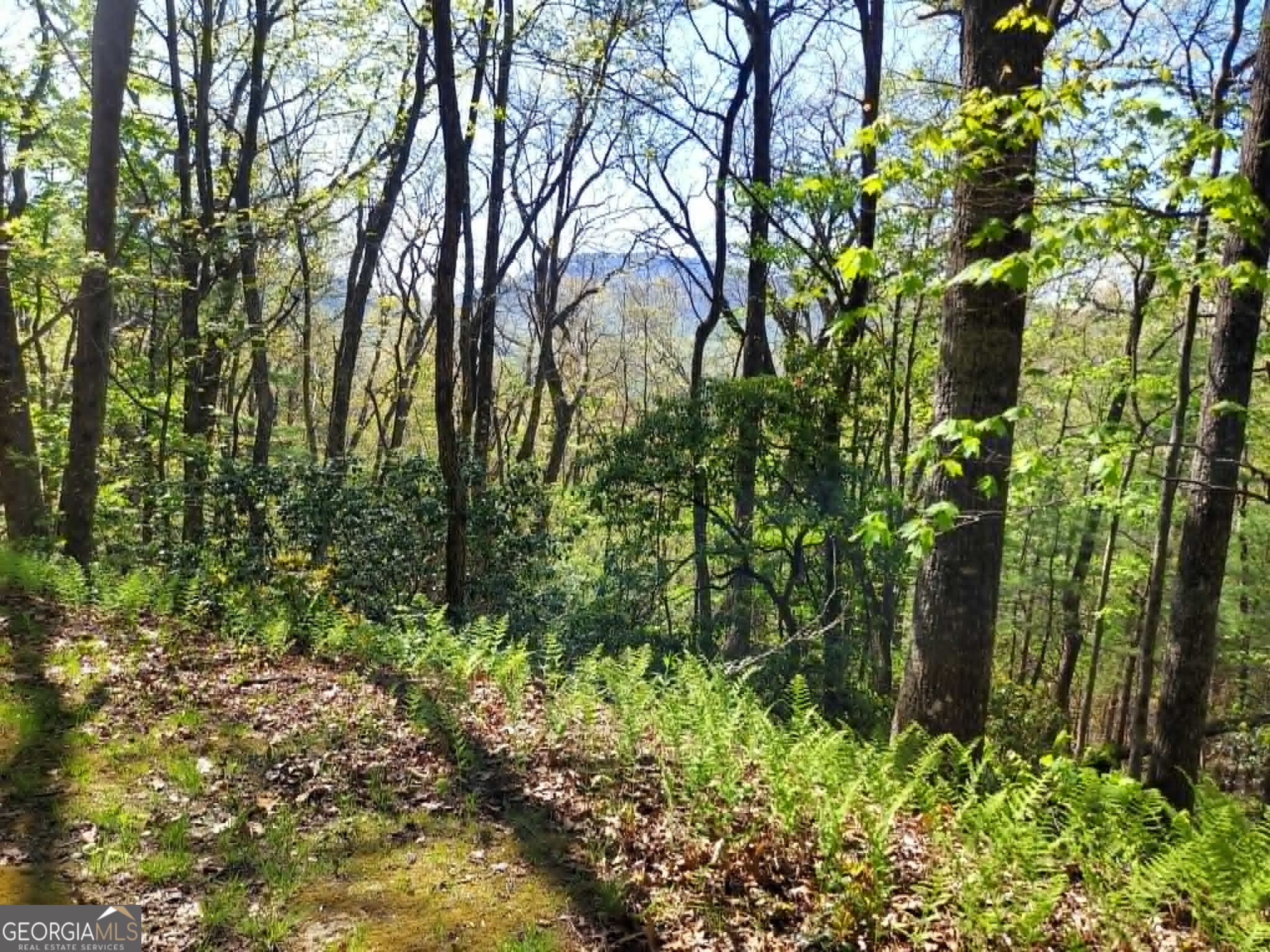 0 LOT 40 Pipetrack Gap RD