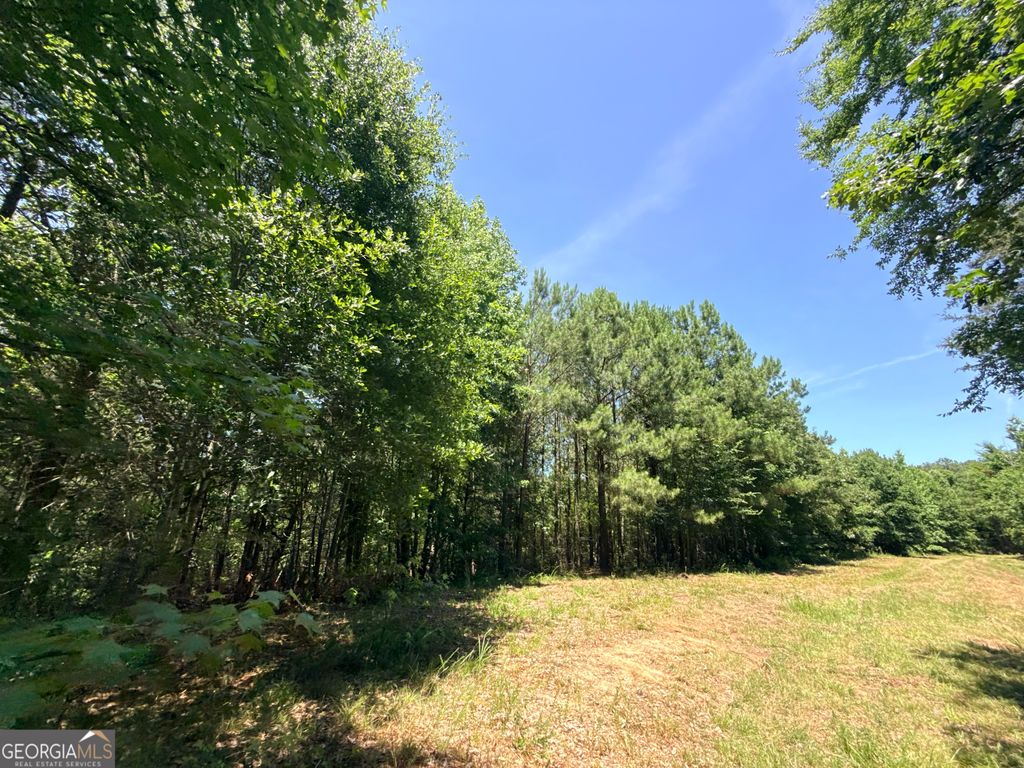 Photo of 2807 Cedar Creek Rd, Elberton, GA 30635 (MLS # 10787648)