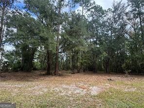 Photo 1 of 24 — 86 Marsh Creek BLVD, Waverly, GA 31565