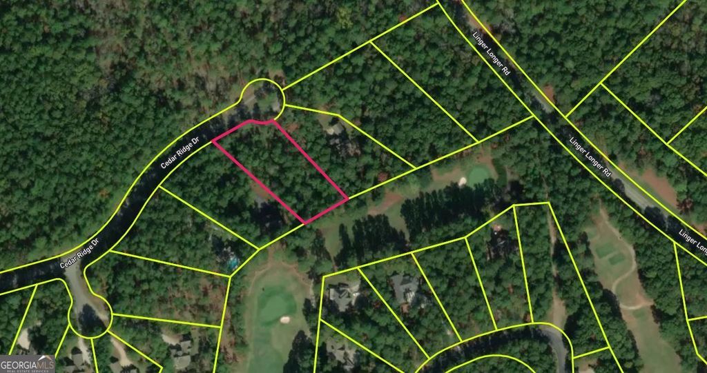 Photo of 1261 Cedar Ridge Drive, Greensboro, GA 30642 (MLS # 10636048)