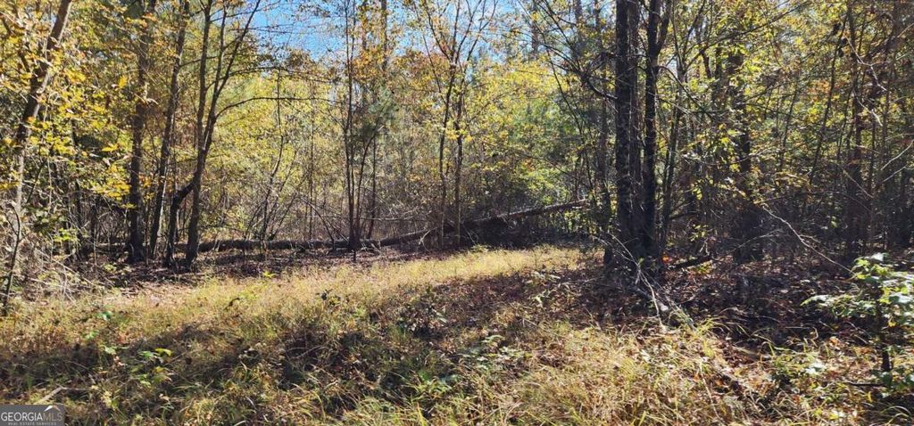 Photo of 0 Hwy 411, Rome, GA 30161 (MLS # 10657682)