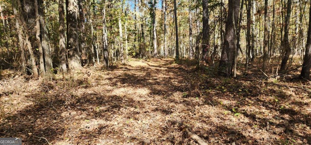 Photo of 0 Hwy 411, Rome, GA 30161 (MLS # 10657682)