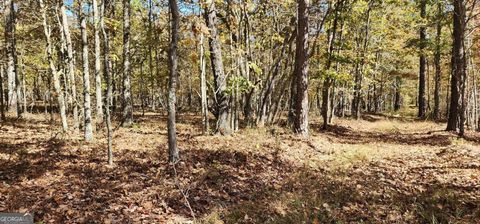 Photo of 0 Hwy 411, Rome, GA 30161 (MLS # 10657682)
