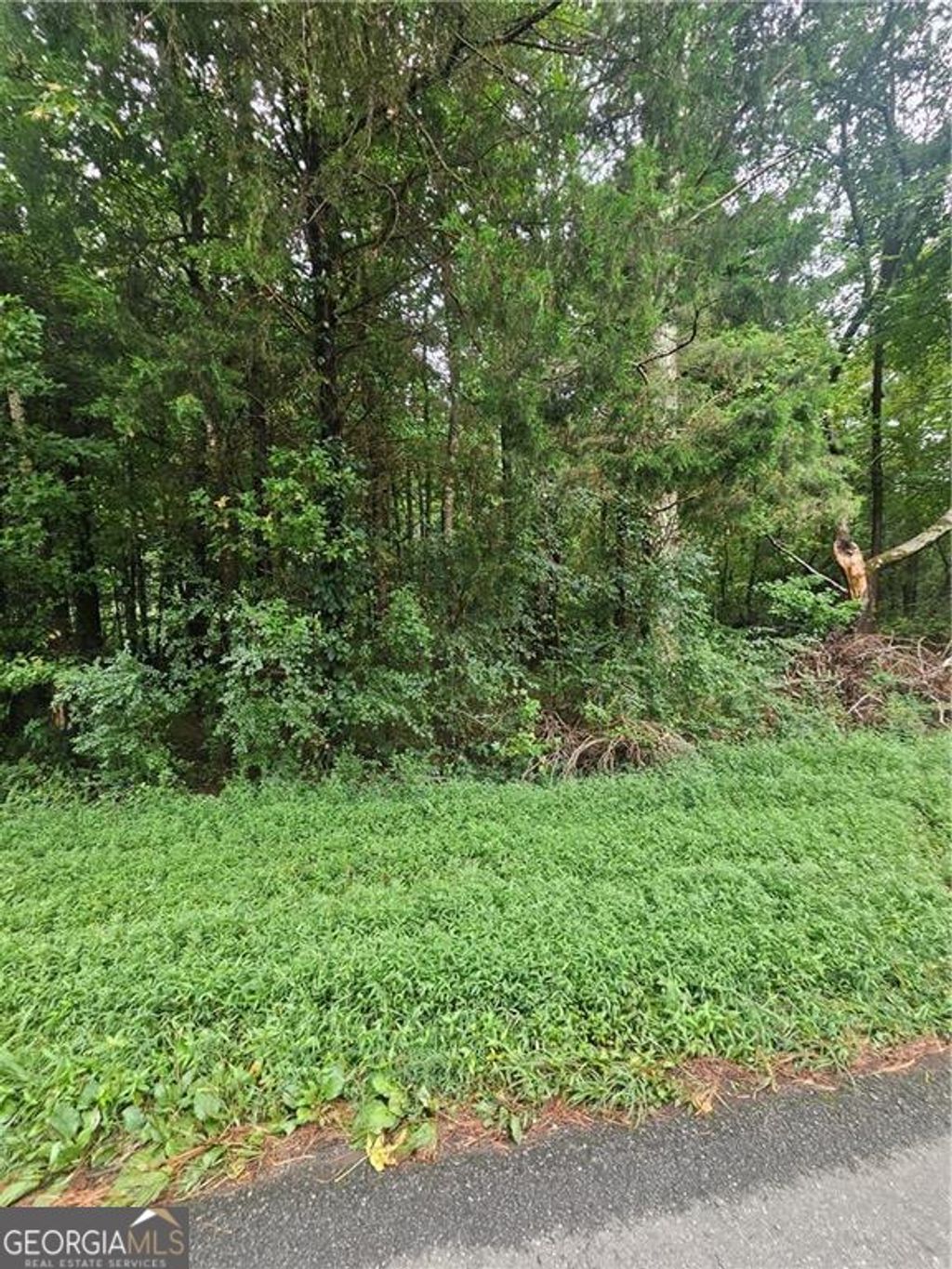 Photo of 0 Crowe Springs SPUR NW, Adairsville, GA 30103 (MLS # 10578901)