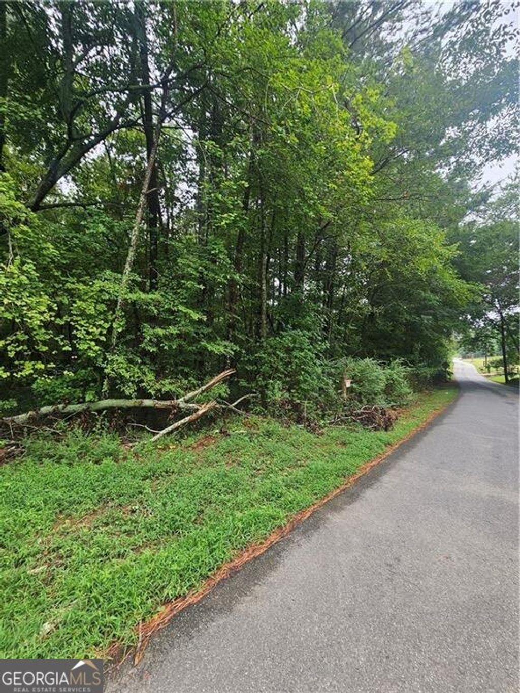 Photo of 0 Crowe Springs SPUR NW, Adairsville, GA 30103 (MLS # 10578901)