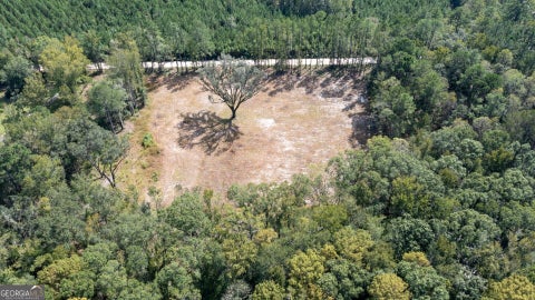 Photo of 2374 Colesburg Tompkins Road, Woodbine, GA 31569 (MLS # 10871753)