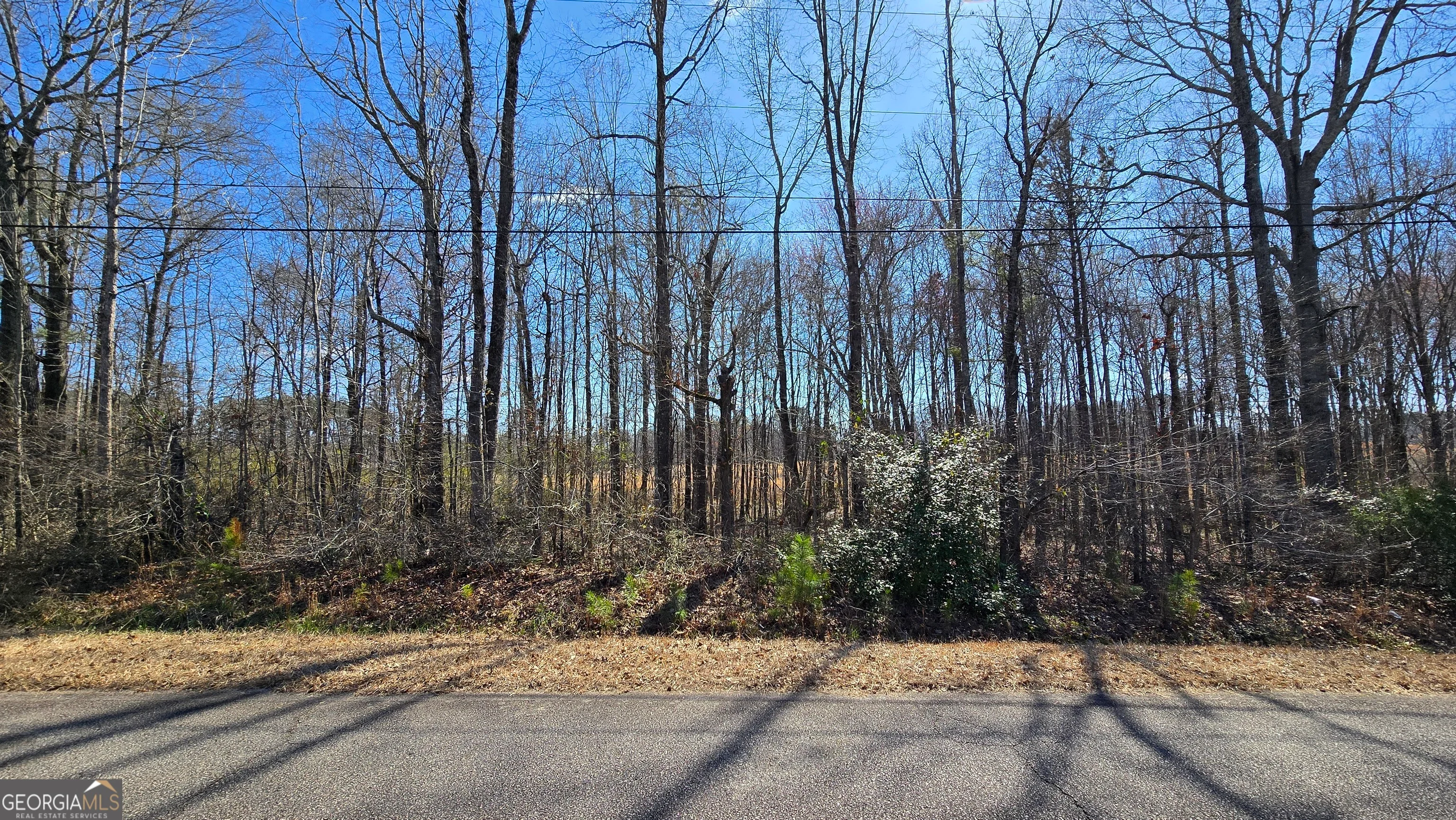 1108 Spring Creek Circle