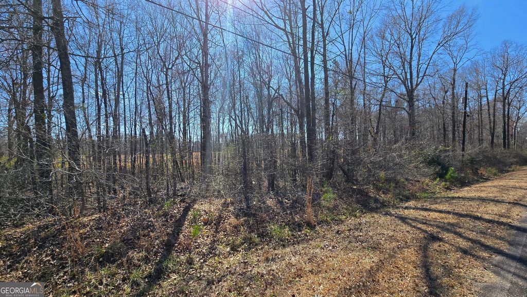 Photo of 1108 Spring Creek Cir, Griffin, GA 30223 (MLS # 10700220)