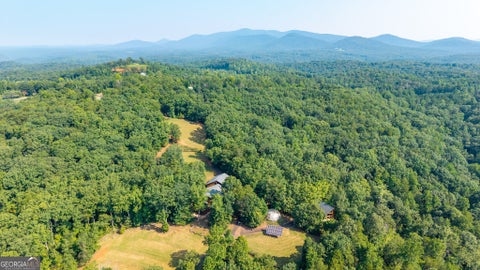 Photo of 464 Poole Road, Ball Ground, GA 30107 (MLS # 10820513)