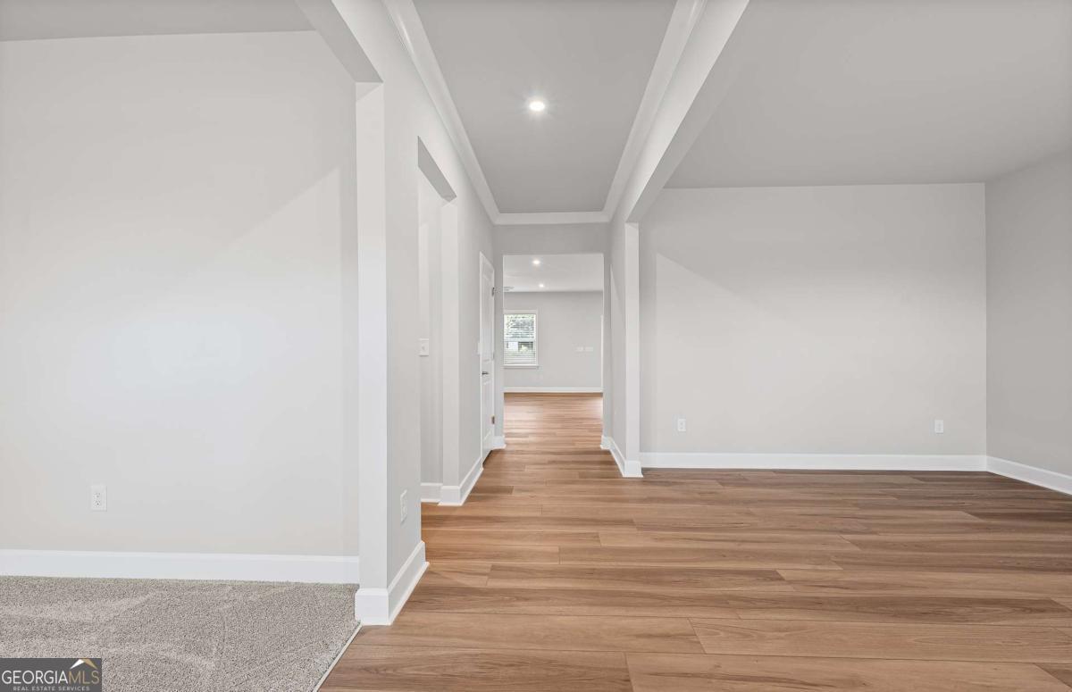 229 Kindness CIR