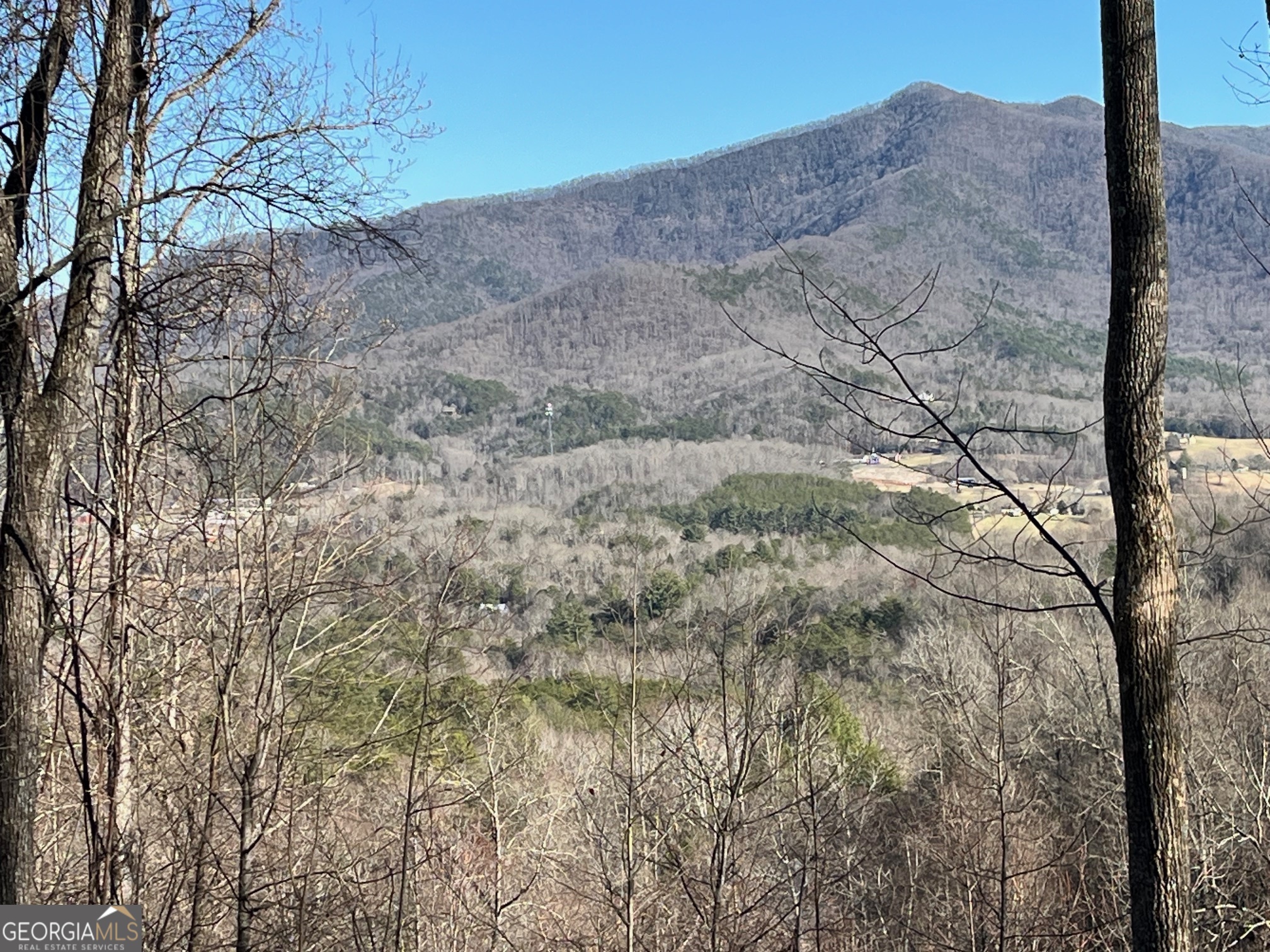 What a view!!Owner financing available! Spectacular year round mountain and valley view in quiet, established subdivision with underground public utilities and paved roads. Great Young Harris location only minutes to Blairsville, Hayesville or Hiawassee. Less than 5 miles t beautiful Brasstown Valley Resort and Lake Chatuge.