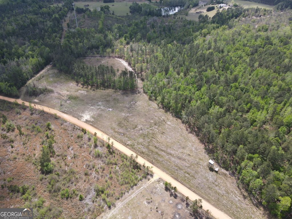 Photo of 0 Old Dellwood Road, Swainsboro, GA 30401 (MLS # 10726058)