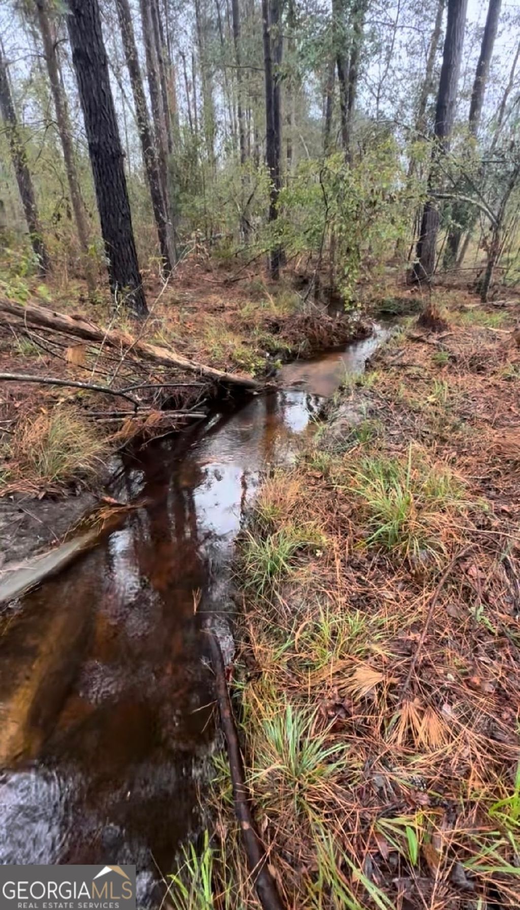 Photo of 0 Old Dellwood Road, Swainsboro, GA 30401 (MLS # 10726058)