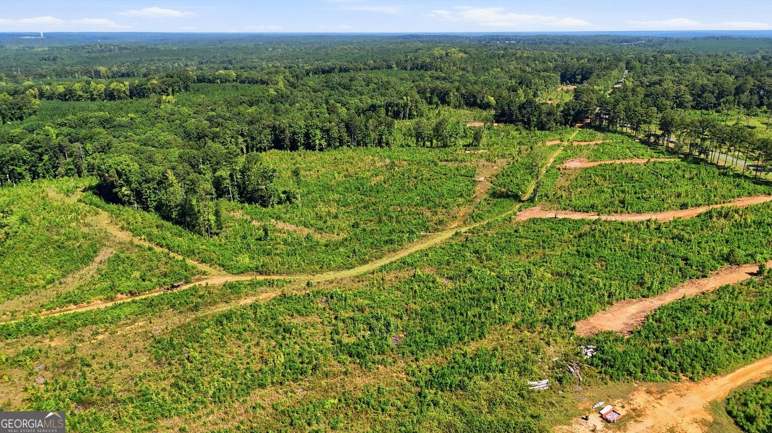 150+/- ACRES Giles RD