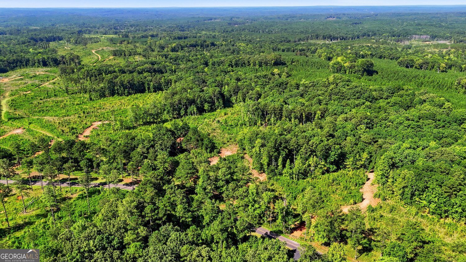 150+/- ACRES Giles RD