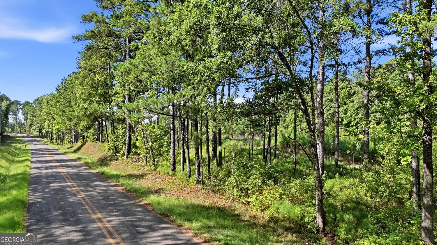 150+/- ACRES Giles RD