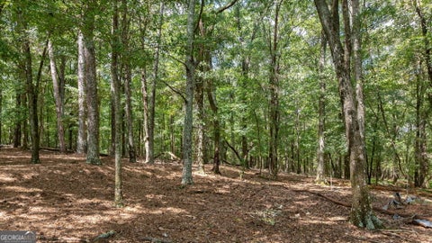 Photo for 000 Middlebrooks Road