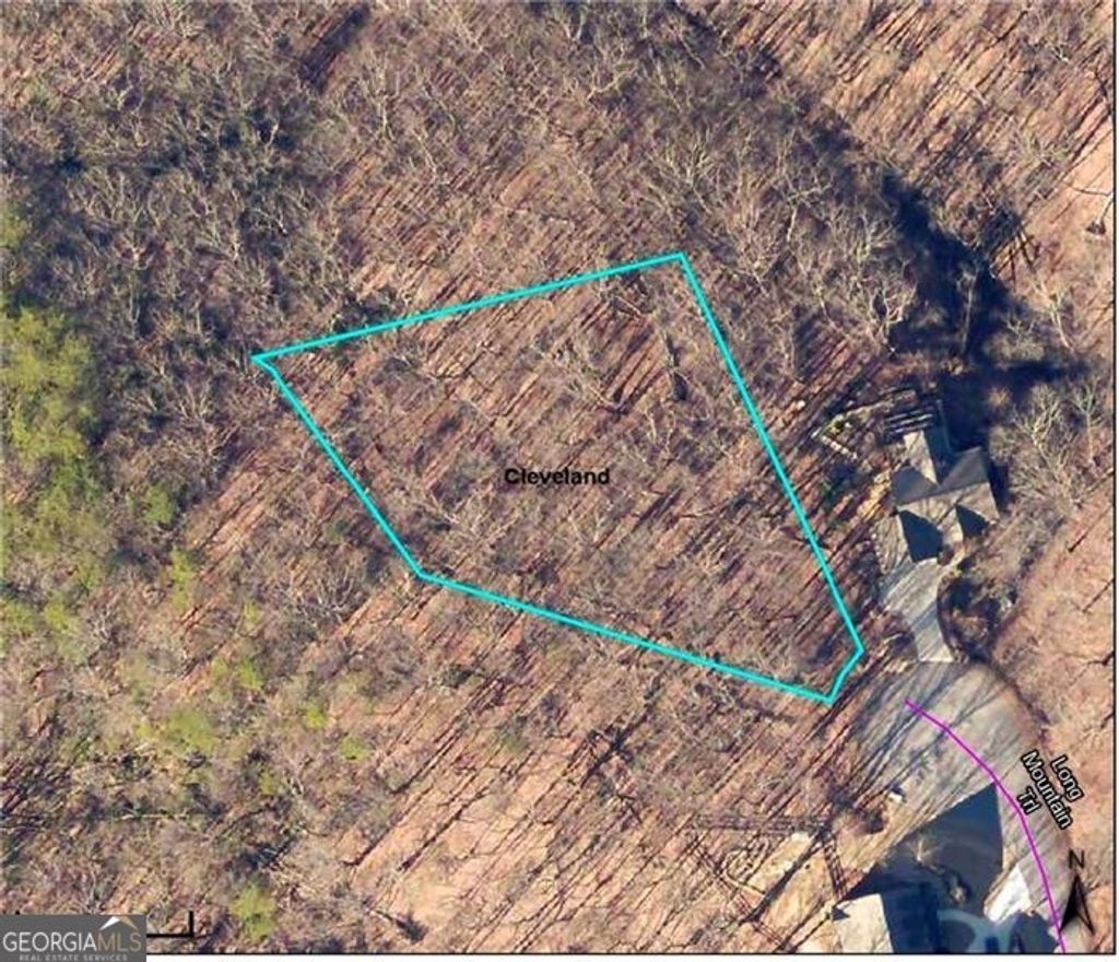 Photo of 29 Long Mountain Trail, Cleveland, GA 30528 (MLS # 10703415)