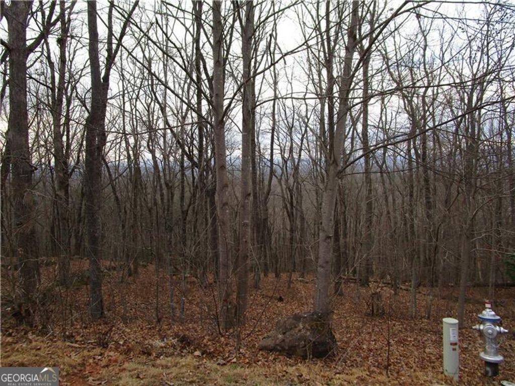 Photo of 29 Long Mountain Trail, Cleveland, GA 30528 (MLS # 10703415)