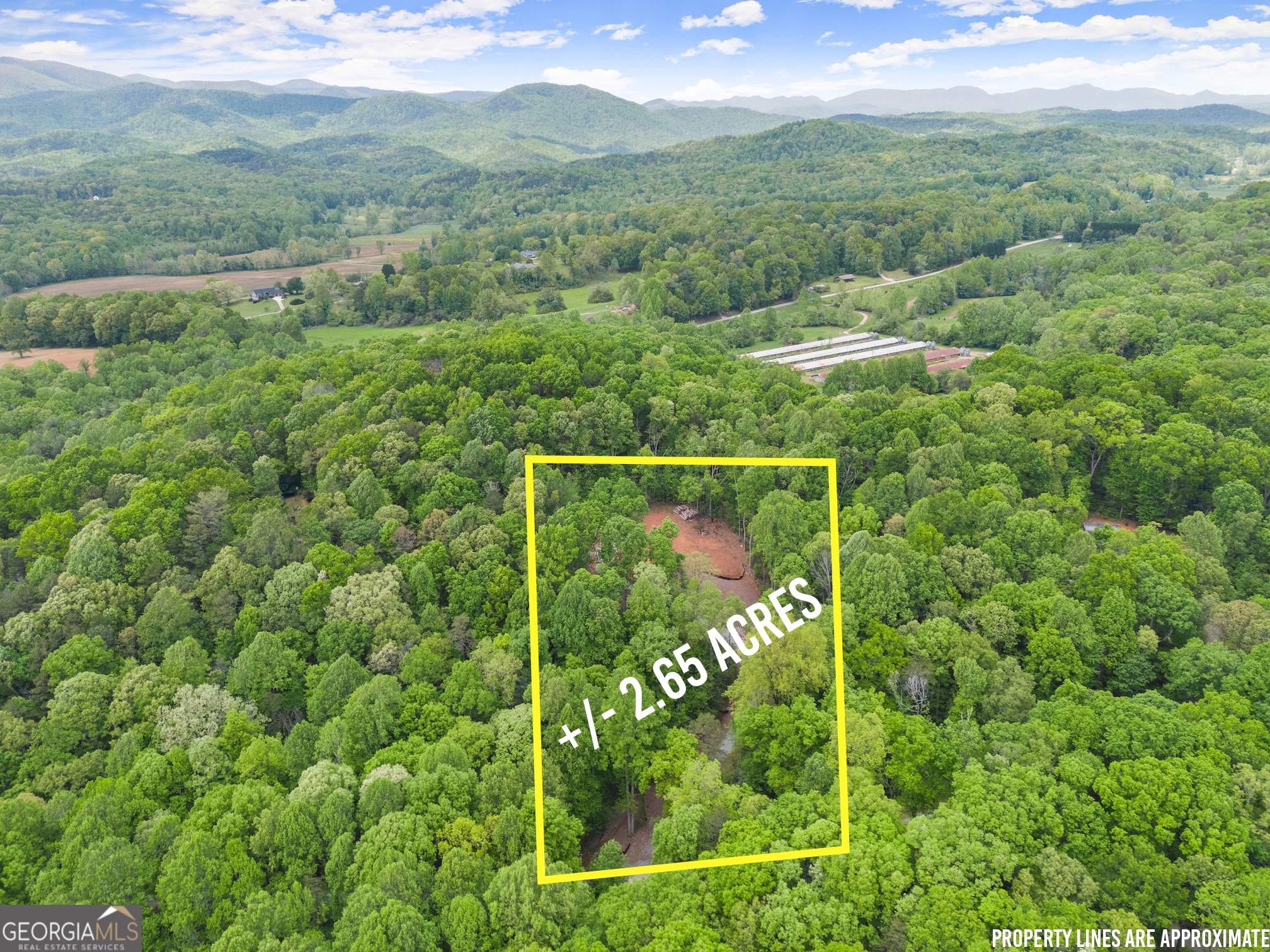 Meadowview Community lot in the beautiful Batesville area. The 2.65 acre lot is ready for you to build with a driveway already cut in and a mountain view homesite already cleared. Soils analysis recently completed and shared well is ready to tap into. Great location as you are close to downtown Clarkesville, Soque River, Helen, or Lake Burton.